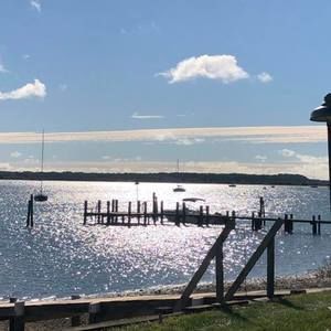 Meet your Posher, Janice